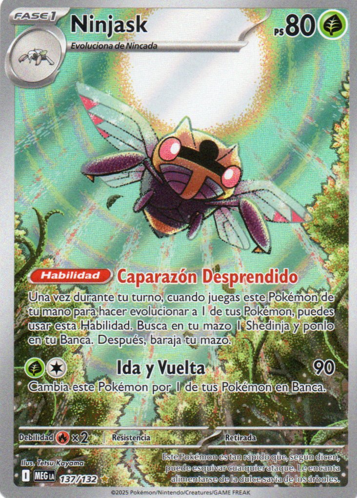 Ninjask  Illustration rare Español