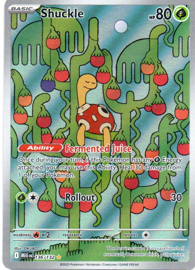Shuckle  Illustration rare Ingles