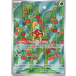 Shuckle  Illustration rare Ingles