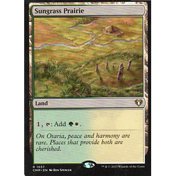 Sungrass Prairie CMM 1037 Rare Ingles