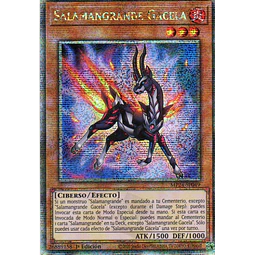 Salamangrande Gacela MP24-SP049 Quarter rare