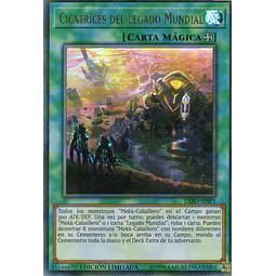 Cicatrices del Legado Mundial EXFO-SPSP1 Ultra rare