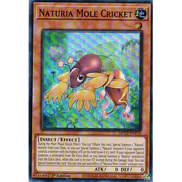Naturia Mole Cricket MP24-EN170 Super rare