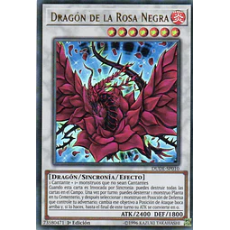 Dragon de la rosa negra DUDE-SP010 Ultra rare