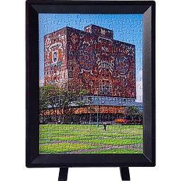 Biblioteca Central UNAM - Mexico 150 pz - Rompecabezas