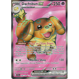 Dachsbun ex Ingles SCR 160 Ultra rare