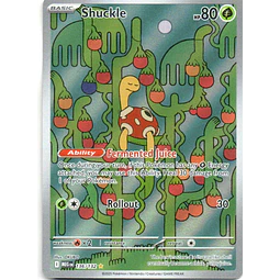 Shuckle MEG 136 Illustration rare Ingles