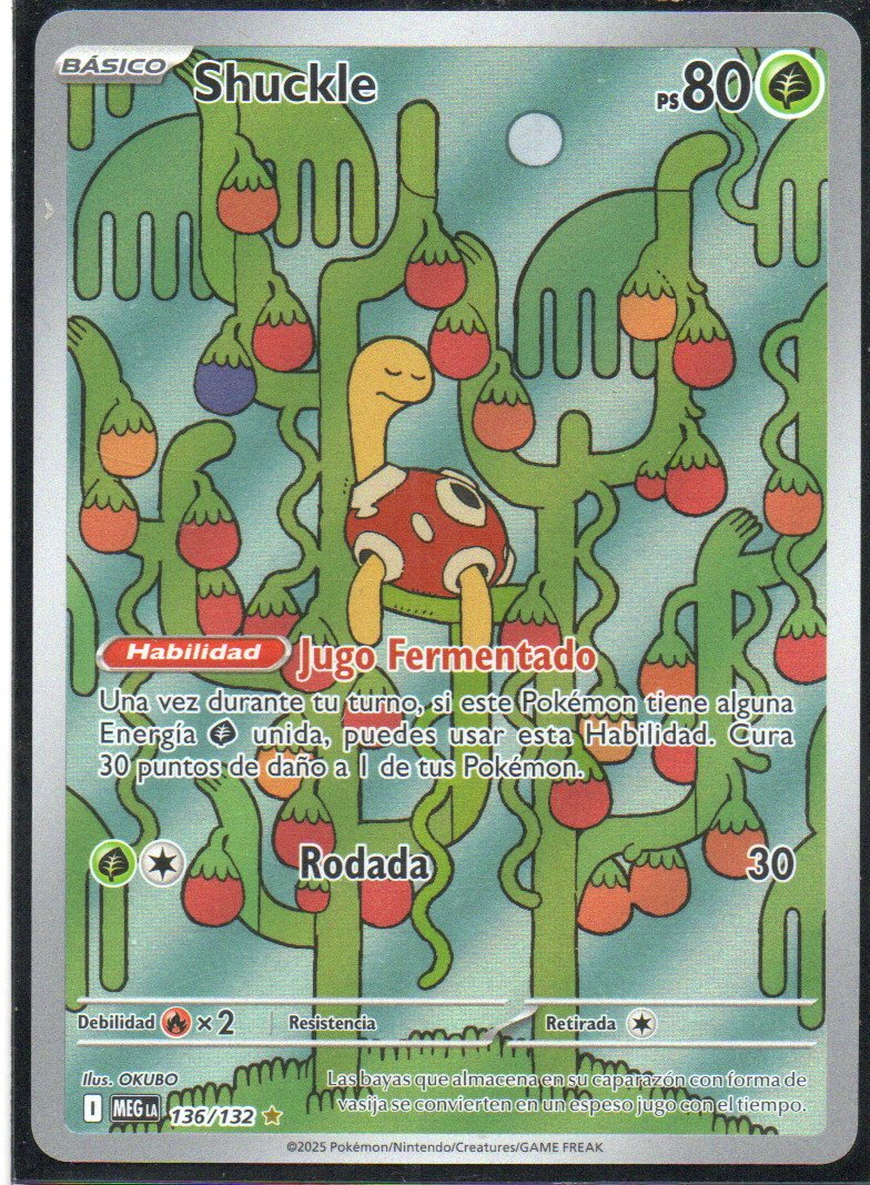 Shuckle MEG 136 Illustration rare Español