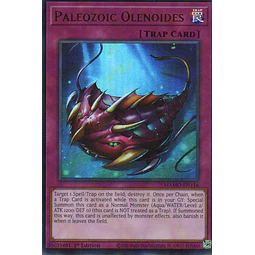 Paleozoic Olenoides MAMO-EN116 Ultra Rare