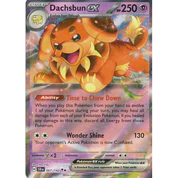 Dachsbun ex SCR 067 Double rare Ingles