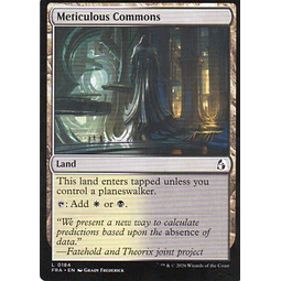 Meticulous Commons FRA 184 L