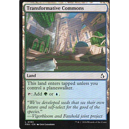 Transformative Commons FRA 193 L