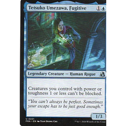 Tetsuko Umezawa, Fugitive FRA 221 Uncommon
