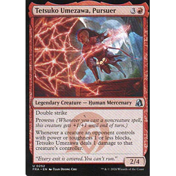 Tetsuko Umezawa, Pursuer FRA 252 Uncommon