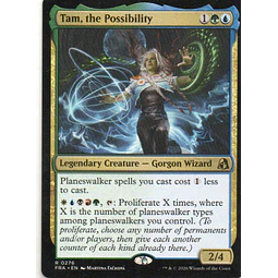 Tam, the Possibility FRA 276 Rare