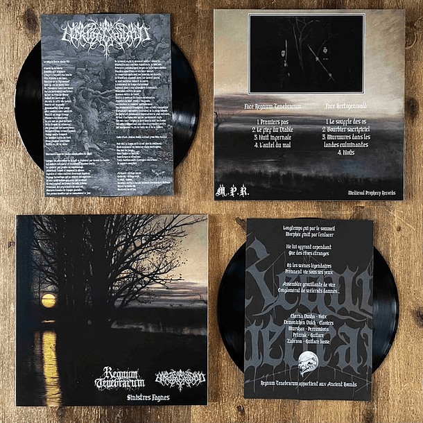 Regnum Tenebrarum / Hertogenwald split LP 3