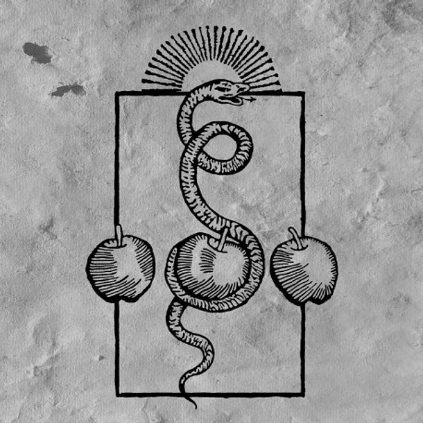 DARVAZA - We Are Him - LP