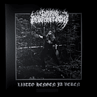 DARK DIVINATION - Liitto hengen ja veren - LP 1