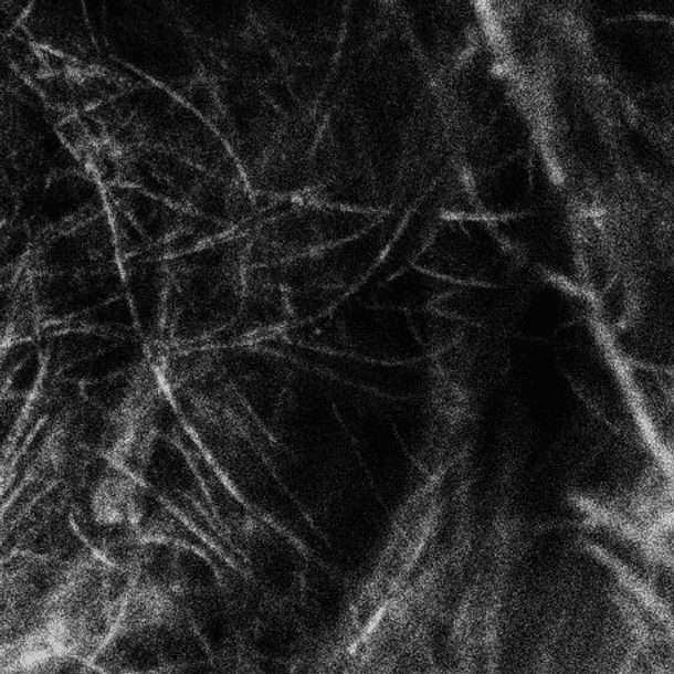 Hadopelagyal - Haematophoryktos, Slipcase Digi CD