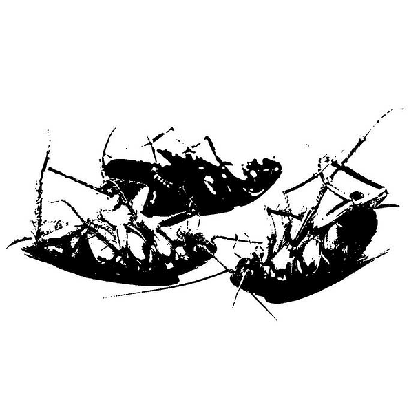 BLATTARIA "Dream, dwell, Die" CD