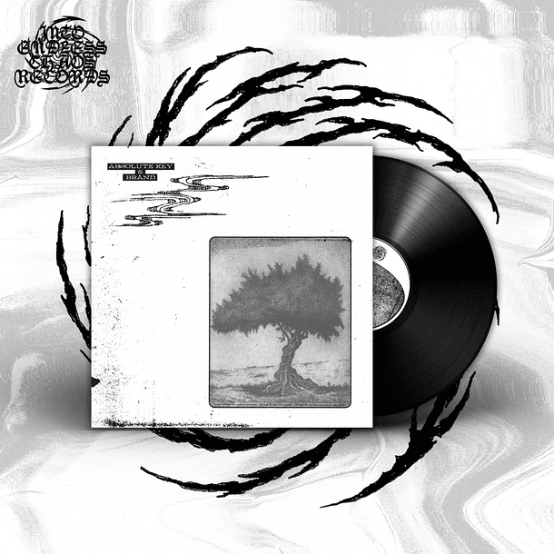 Absolute Key & Brånd - Collaboration - LP