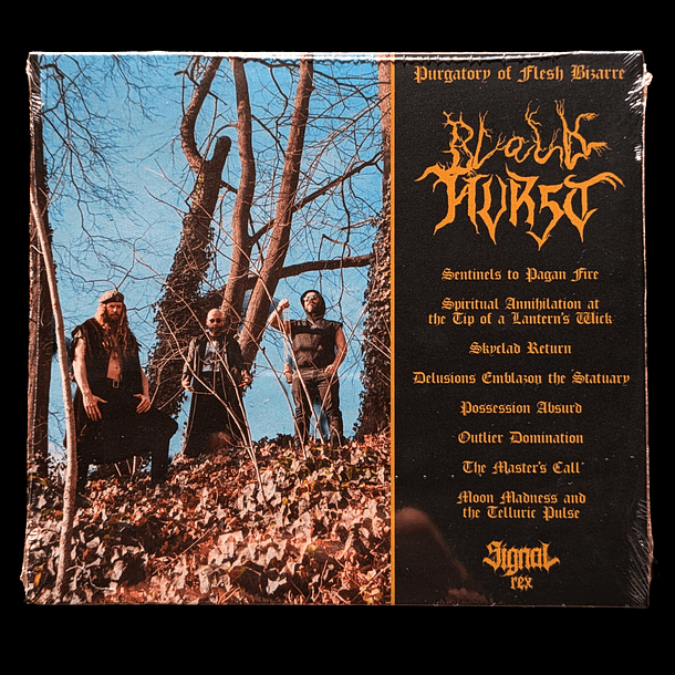 BLACK HURST - Purgatory Of Flesh Bizarre - CD