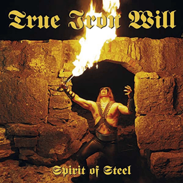 TRUE IRON WILL (US) - Spirit of Steel - CD
