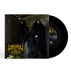 DARK DIVINATION & WAMPYRIC RITES - Split - 7