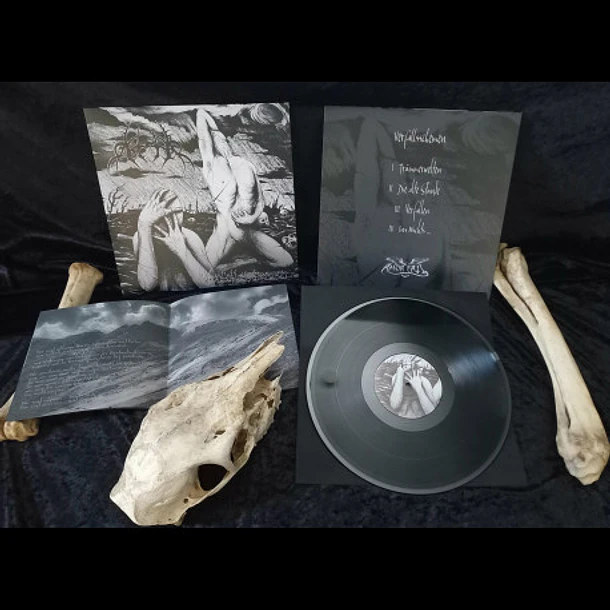 Aether - Verfallsschemen, LP