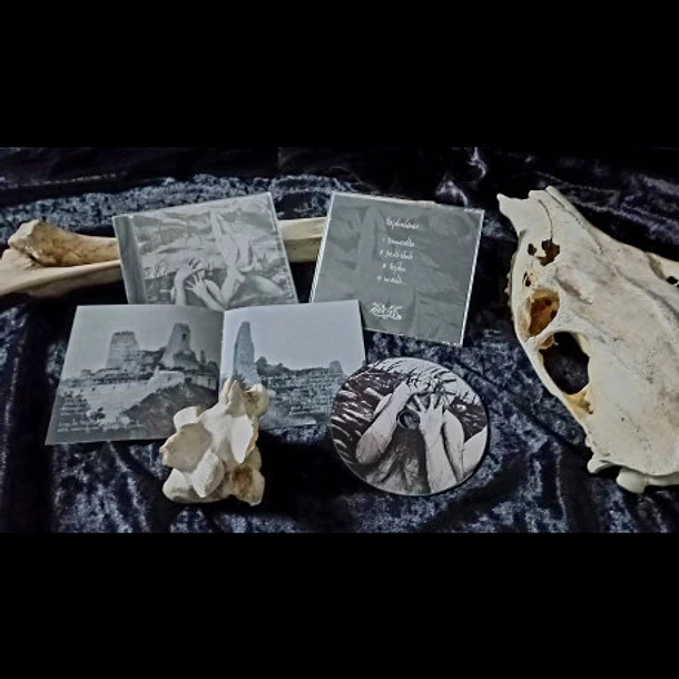 Aether - Verfallsschemen, CD