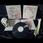 Oldowan Gash - A 1000 Dreams of War - LP 3