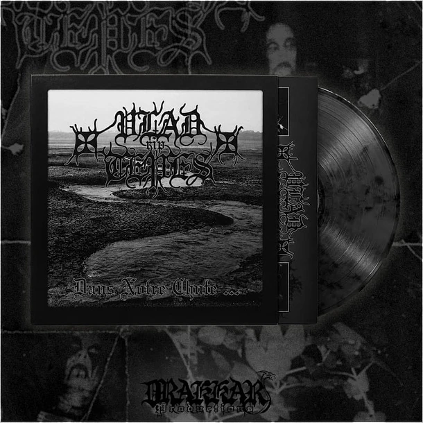 VLAD TEPES - dans notre chute - COLOR LP