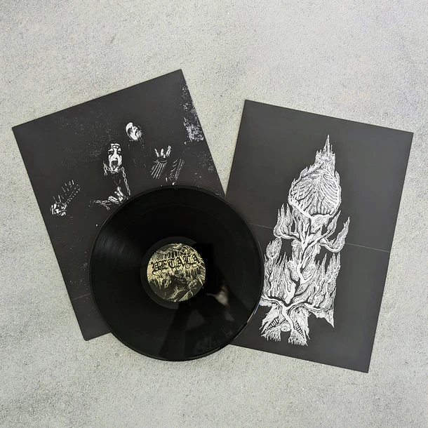 VETALA - Retarded Necro Demential Hole - LP