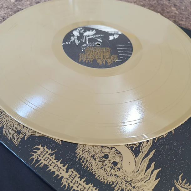 MONS VENERIS / BROKEN SPIRIT - Voices: Herald to the Master - LP (1st Press)
