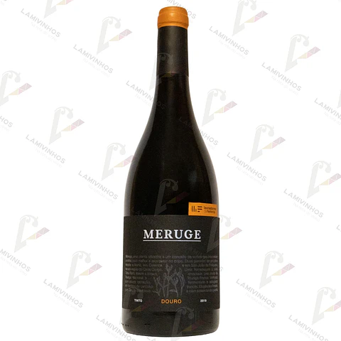 MERUGE — 2019