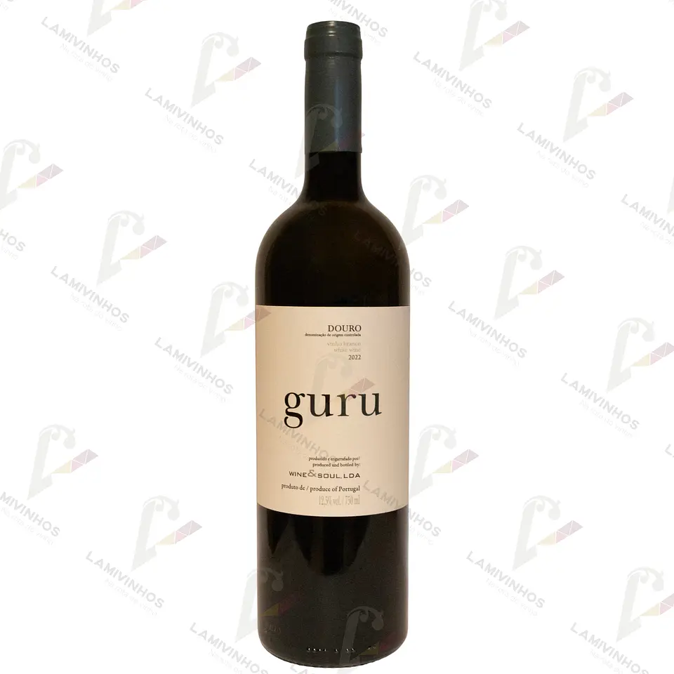 GURU — 2024 1