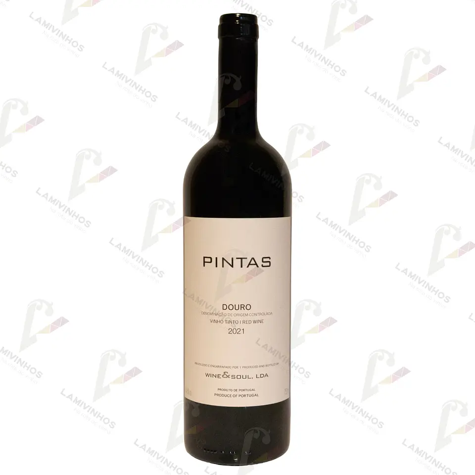 PINTAS — 2021 1