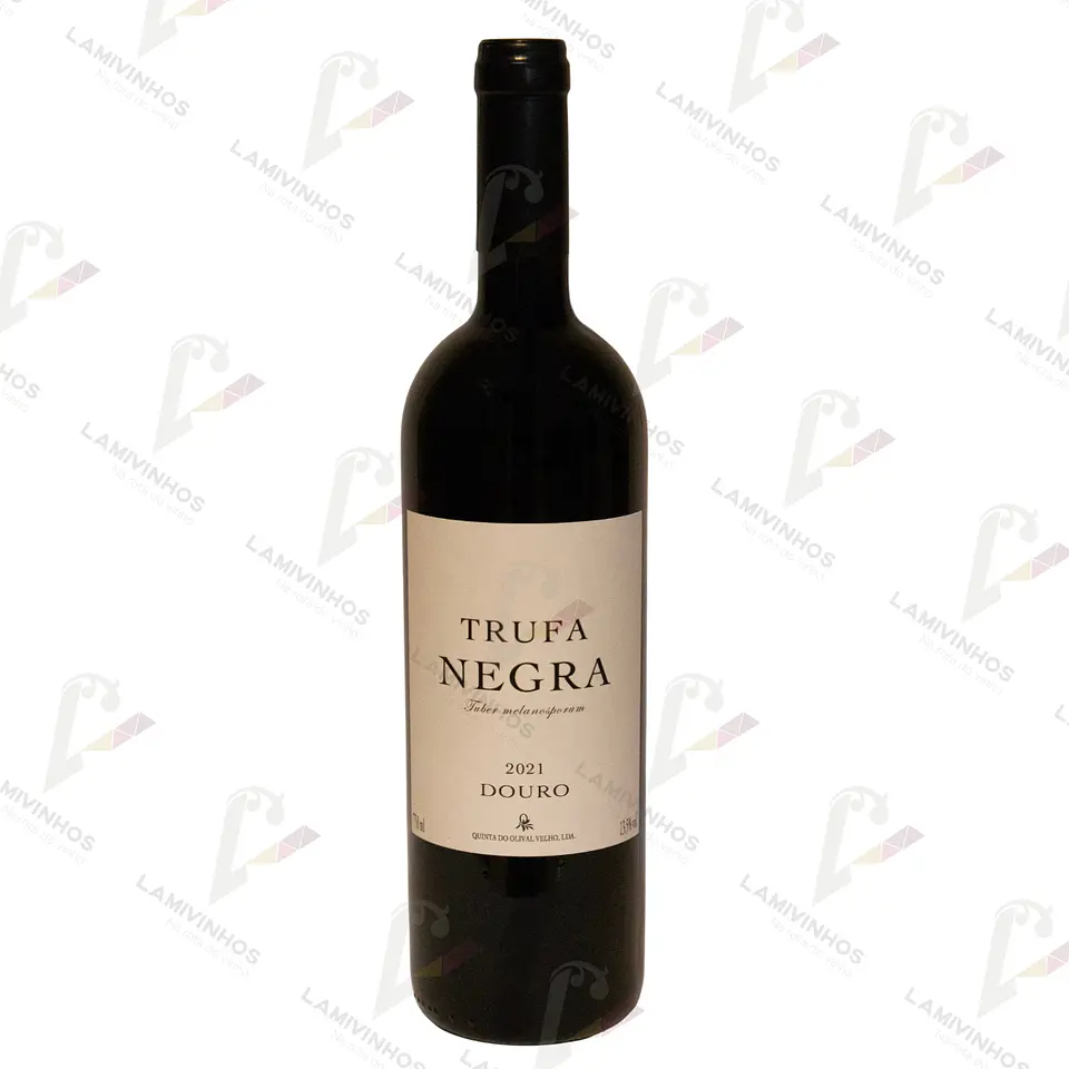 TRUFA NEGRA — 2021 1