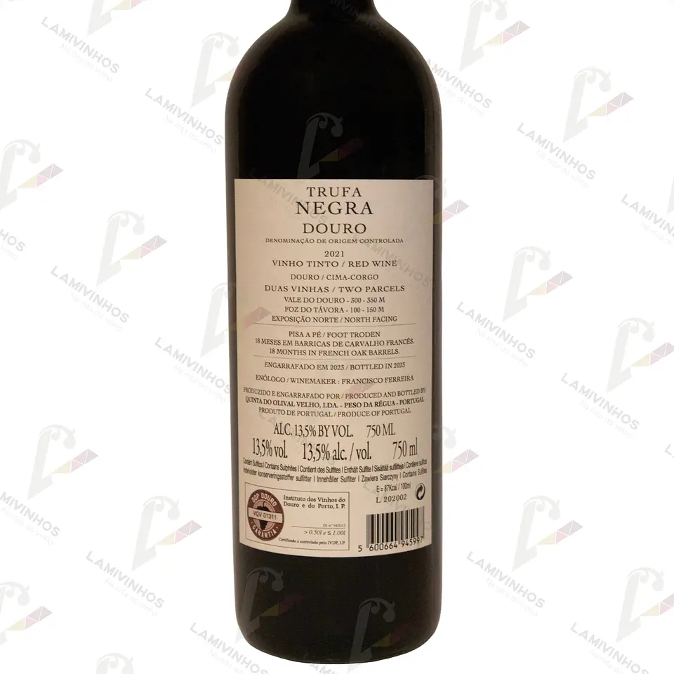 TRUFA NEGRA — 2021 2
