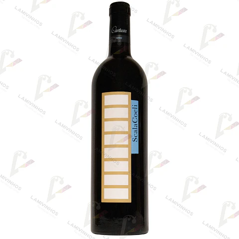 SCALA COELI SYRAH — 2021