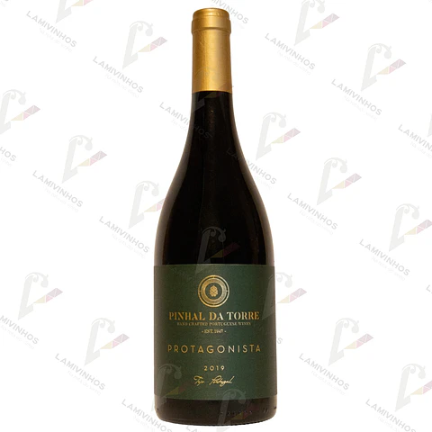PINHAL DA TORRE PROTAGONISTA — 2019