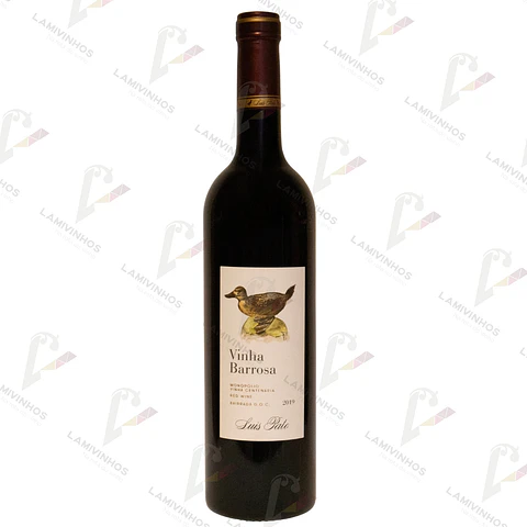 LUÍS PATO VINHA BARROSA — 2019