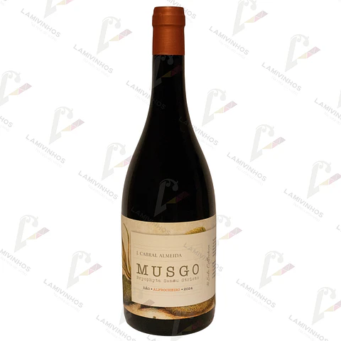 MUSGO ALFROCHEIRO — 2024