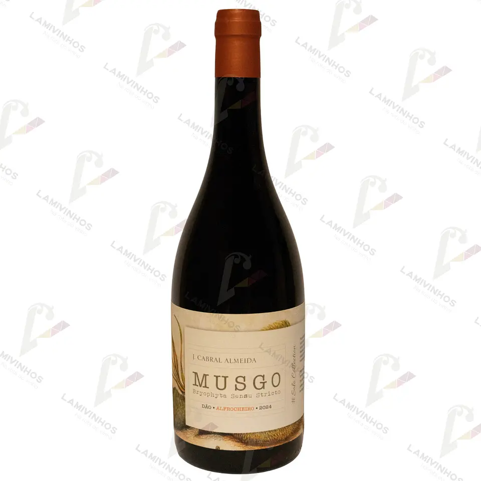 MUSGO ALFROCHEIRO — 2024 1