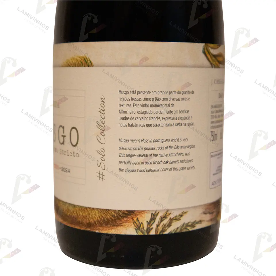 MUSGO ALFROCHEIRO — 2024 2