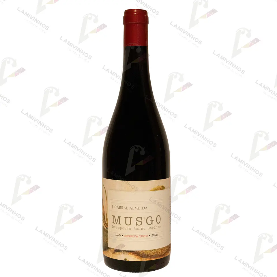 MUSGO RESERVA — 2022 1