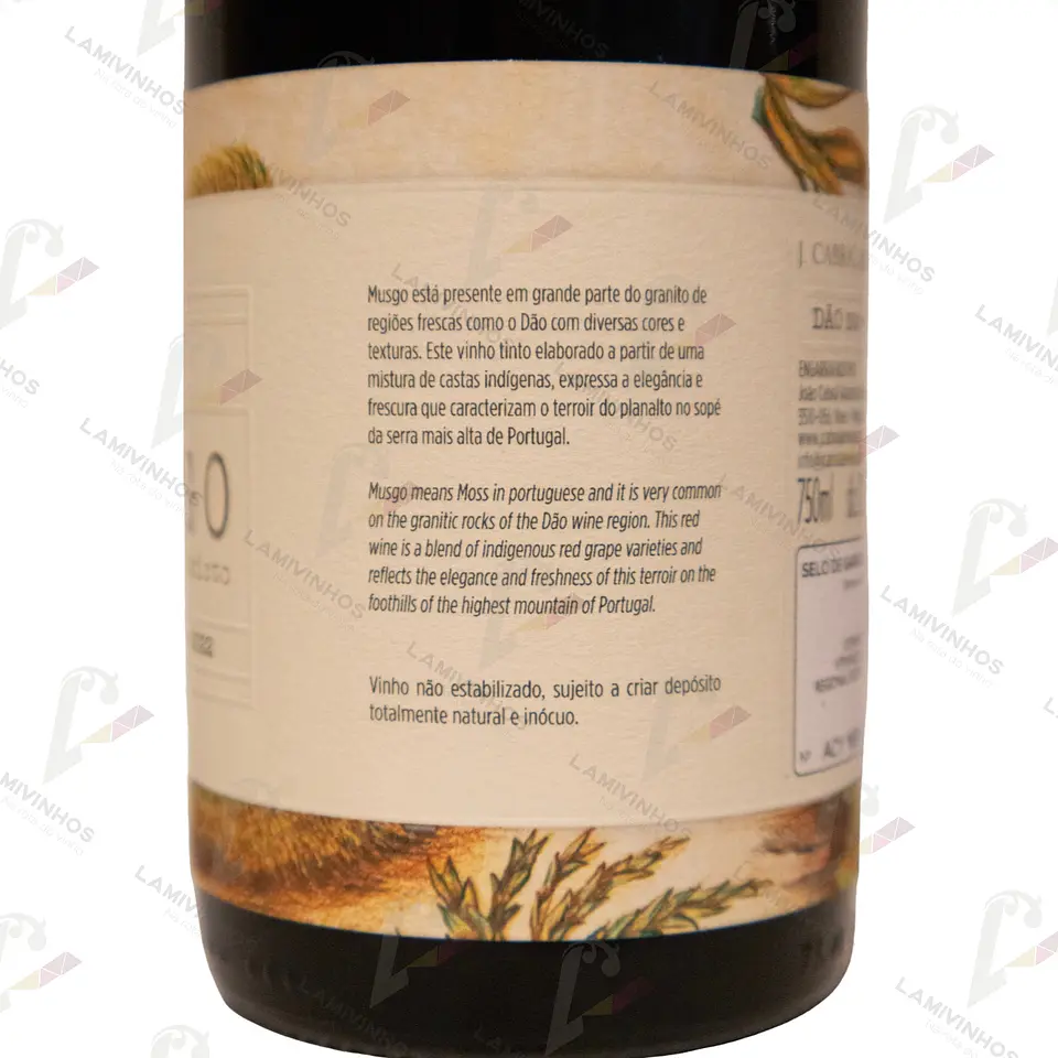 MUSGO RESERVA — 2022 2