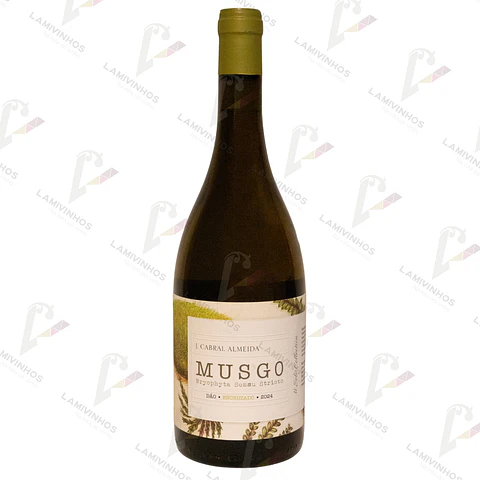 MUSGO ENCRUZADO — 2024