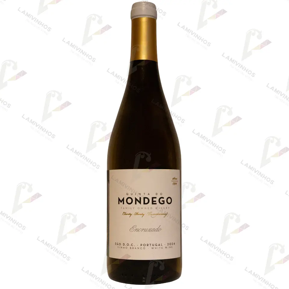 QUINTA DO MONDEGO ENCRUZADO — 2024 1