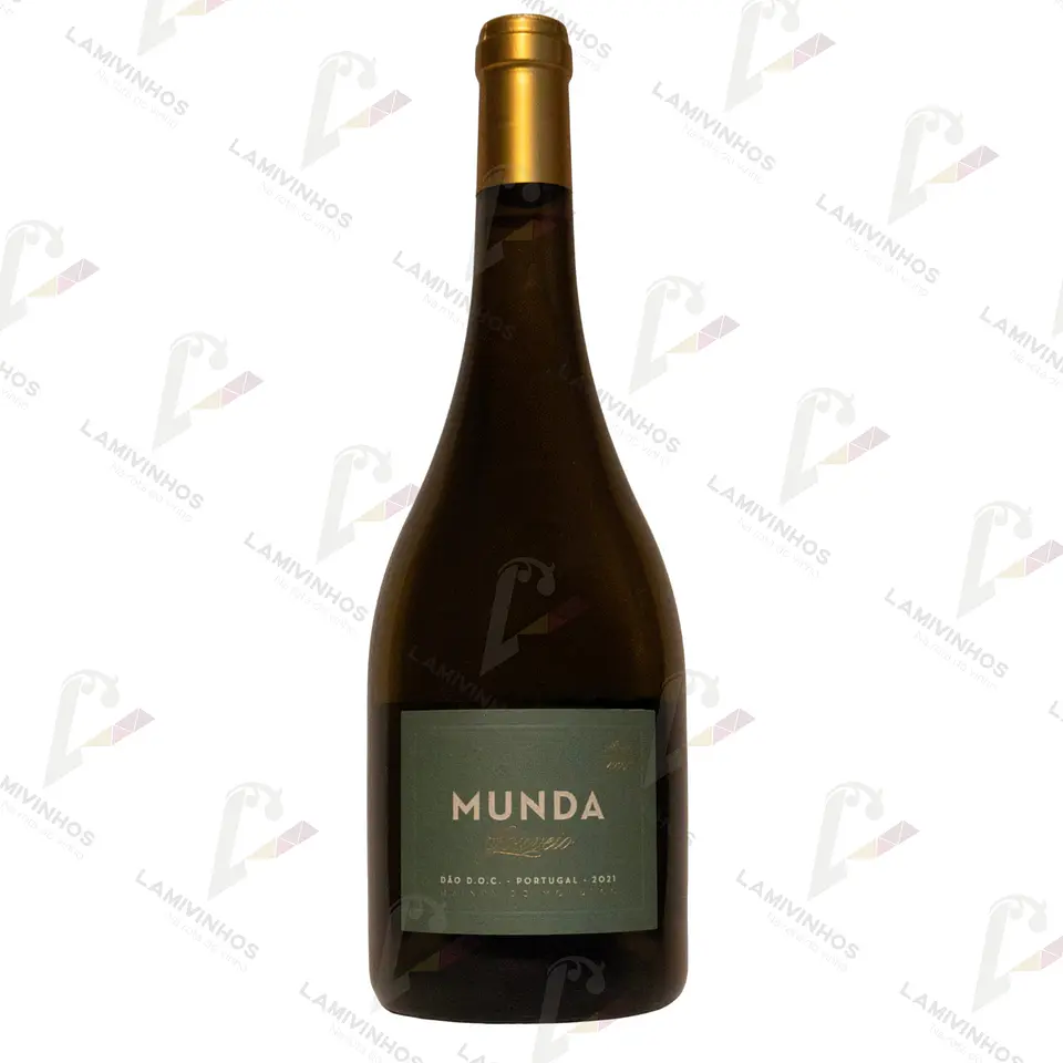MUNDA GOUVEIO — 2021 1